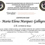 cerificado_2_g